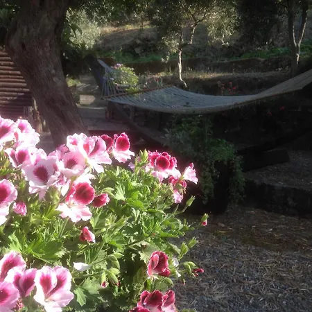 La Zagara 1km Dal Centro Di Patti *